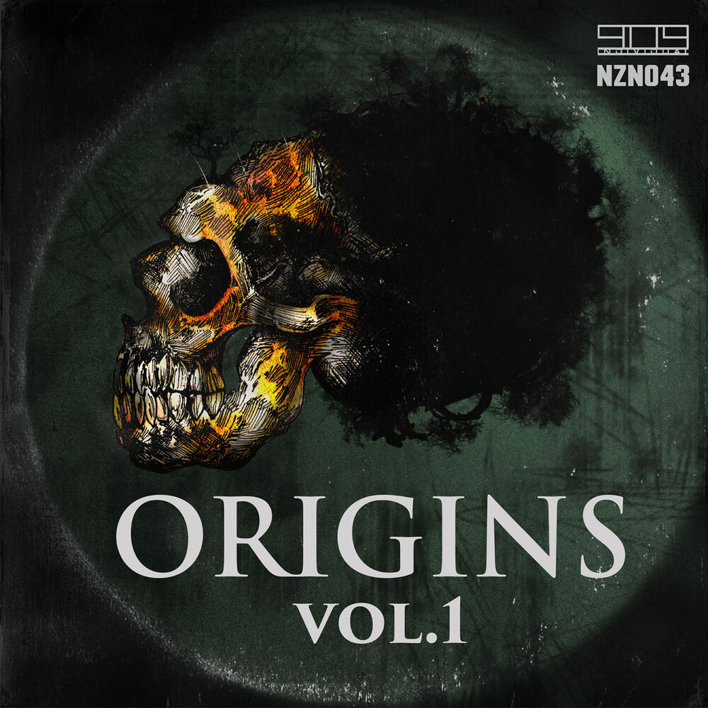 Picture of Origins Vol.1