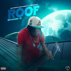 Cover of Roof