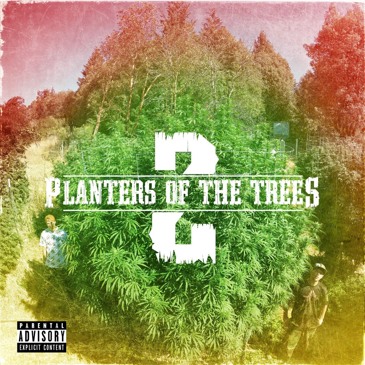 Album cover of Planters Of The Trees 2 (Re-Planted)