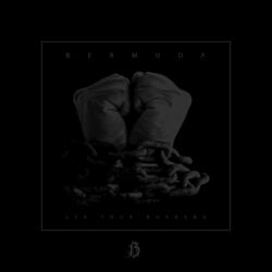 Cover of Use Your Burdens