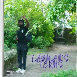 Cover of LAYMAN'S TERMS