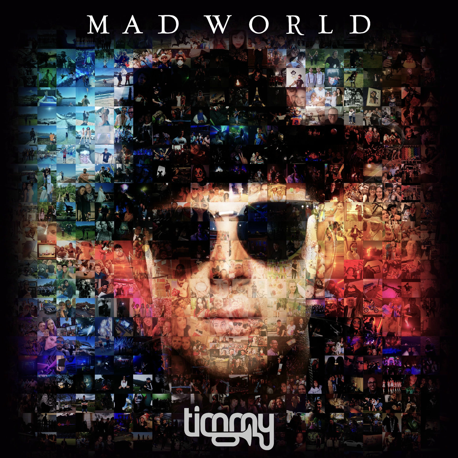 Album cover of Mad World