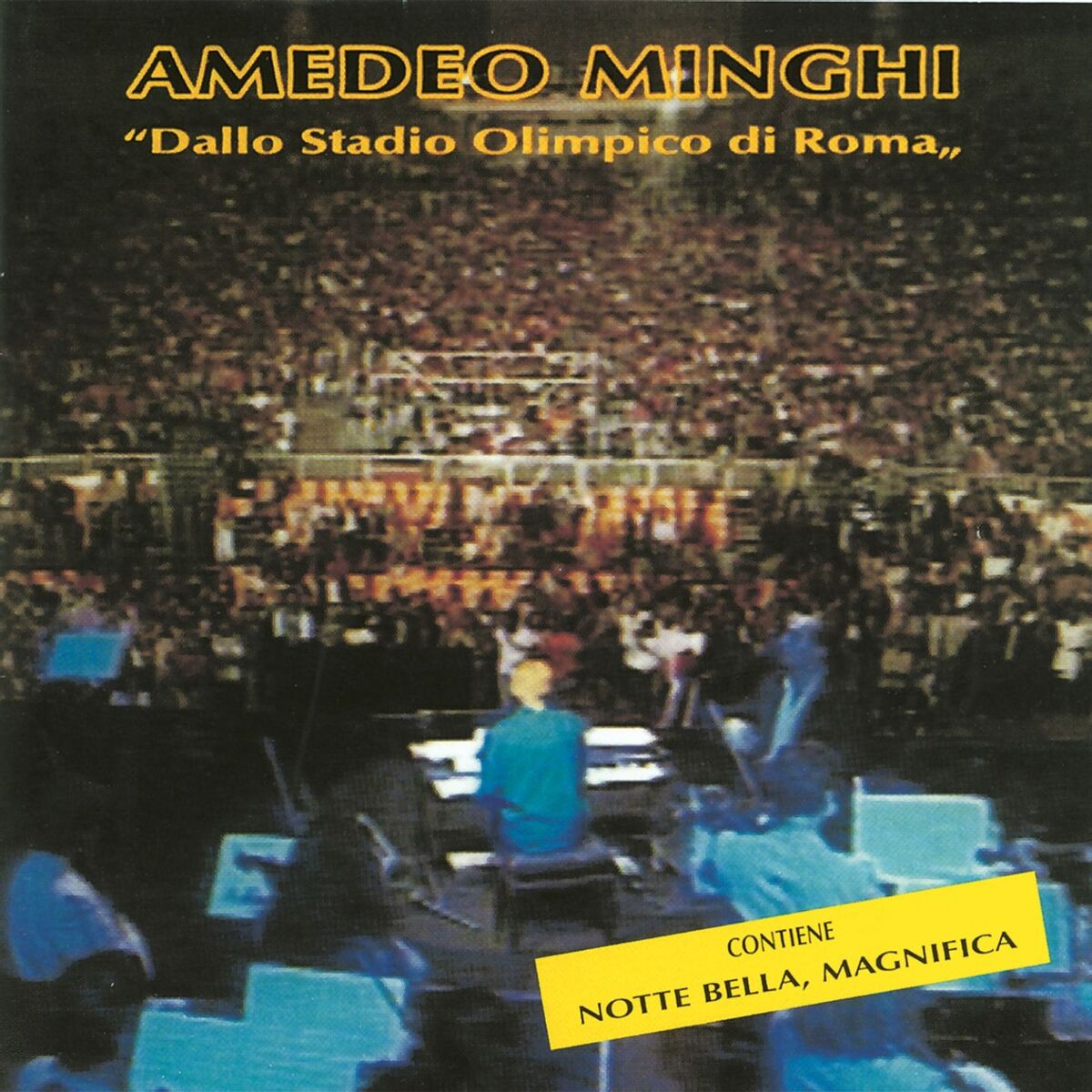 Album cover of Notte bella magnifica