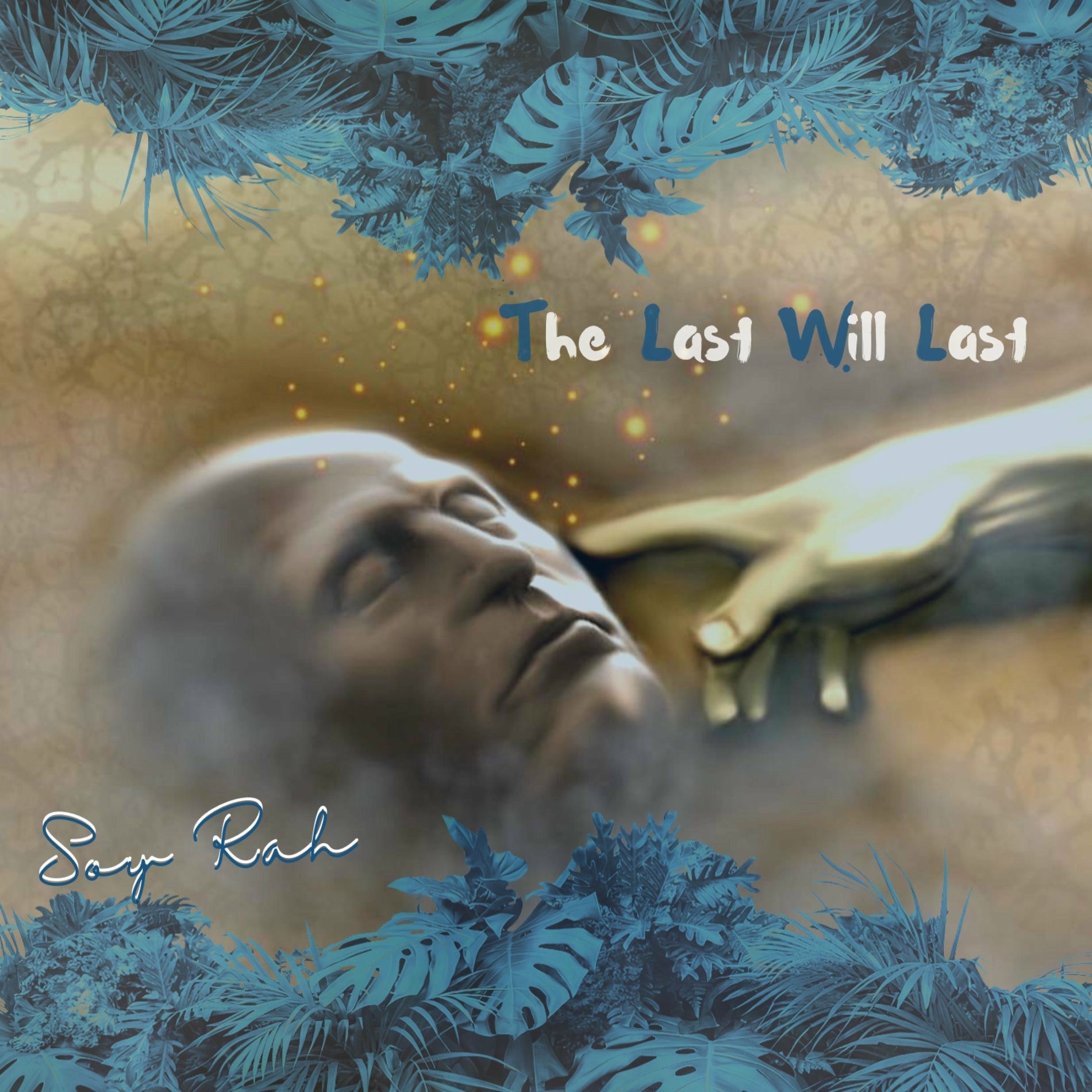 Album cover of The Last Will Last