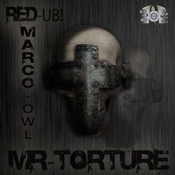 Cover of Mr Torture 2011