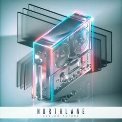 Cover of Analog Future