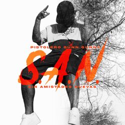 Cover of Sin Amistades Nuevas