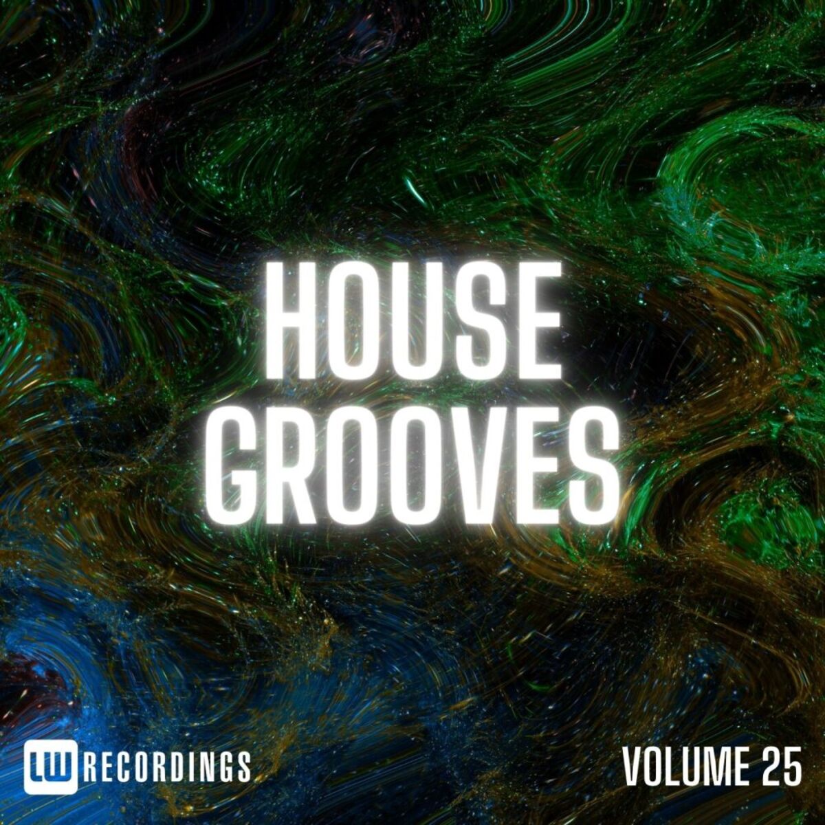 Album cover of House Grooves, Vol. 25