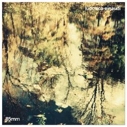 Cover of 85mm