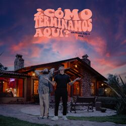 Cover of ¿Cómo Terminamos Aquí?