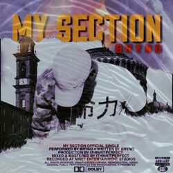 Cover of My Section (Radio Edit)