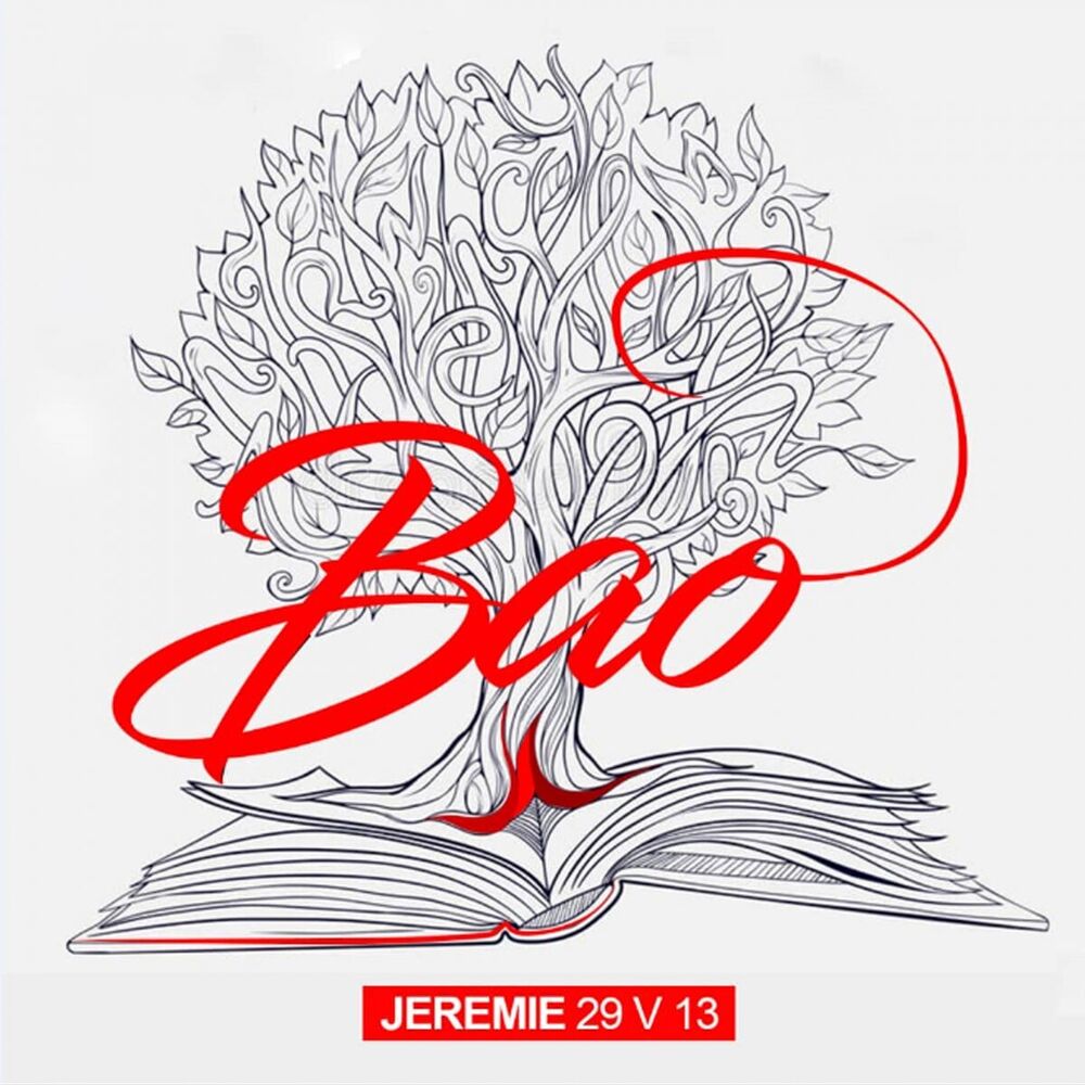 Picture of Jeremie 29 V 13