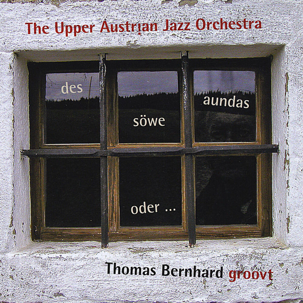 Picture of Des söwe aundas oder ... Thomas Bernhard groovt