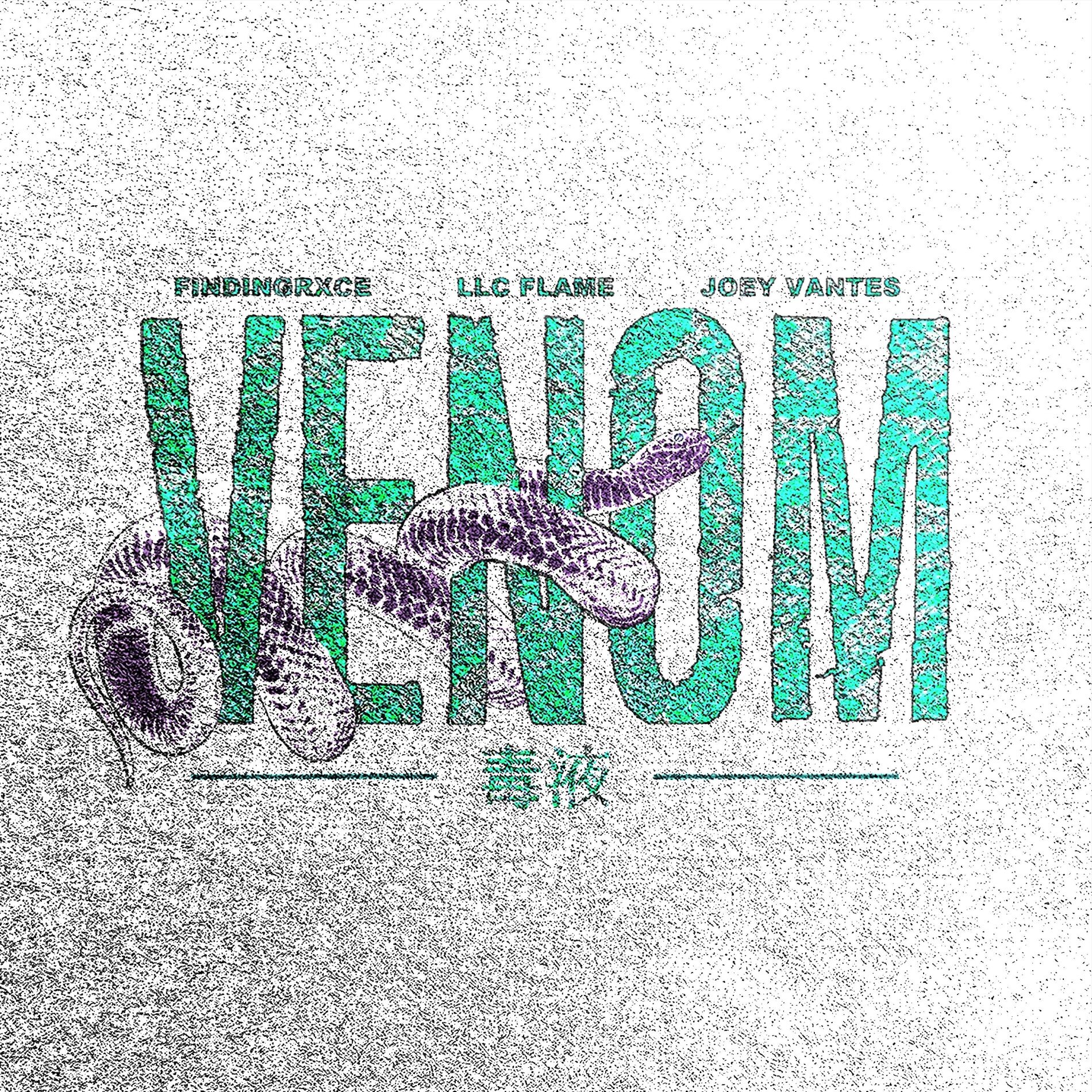 Album cover of Venom (feat. Joey Vantes)