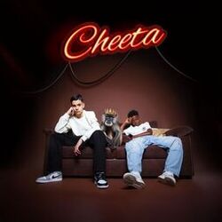 CHEETA