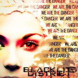 Cover of We Are the Danger