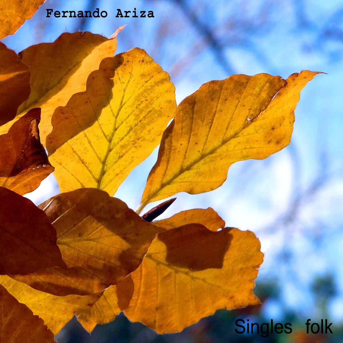 Album cover of Niña de Plenas