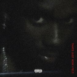 Cover of THATS JUST HOW I FELT.