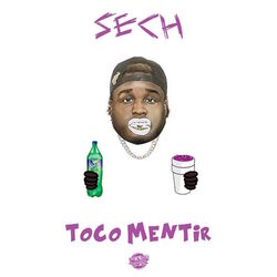 Cover of Toco Mentir