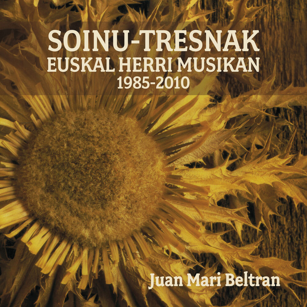 Picture of Soinu-tresnak Euskal Herri Musikan 1985-2010