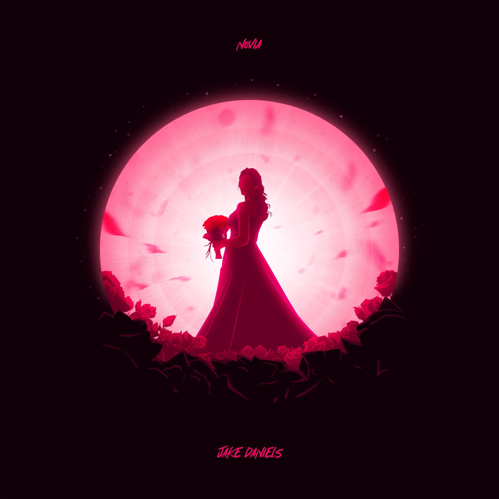 Album cover of Novia