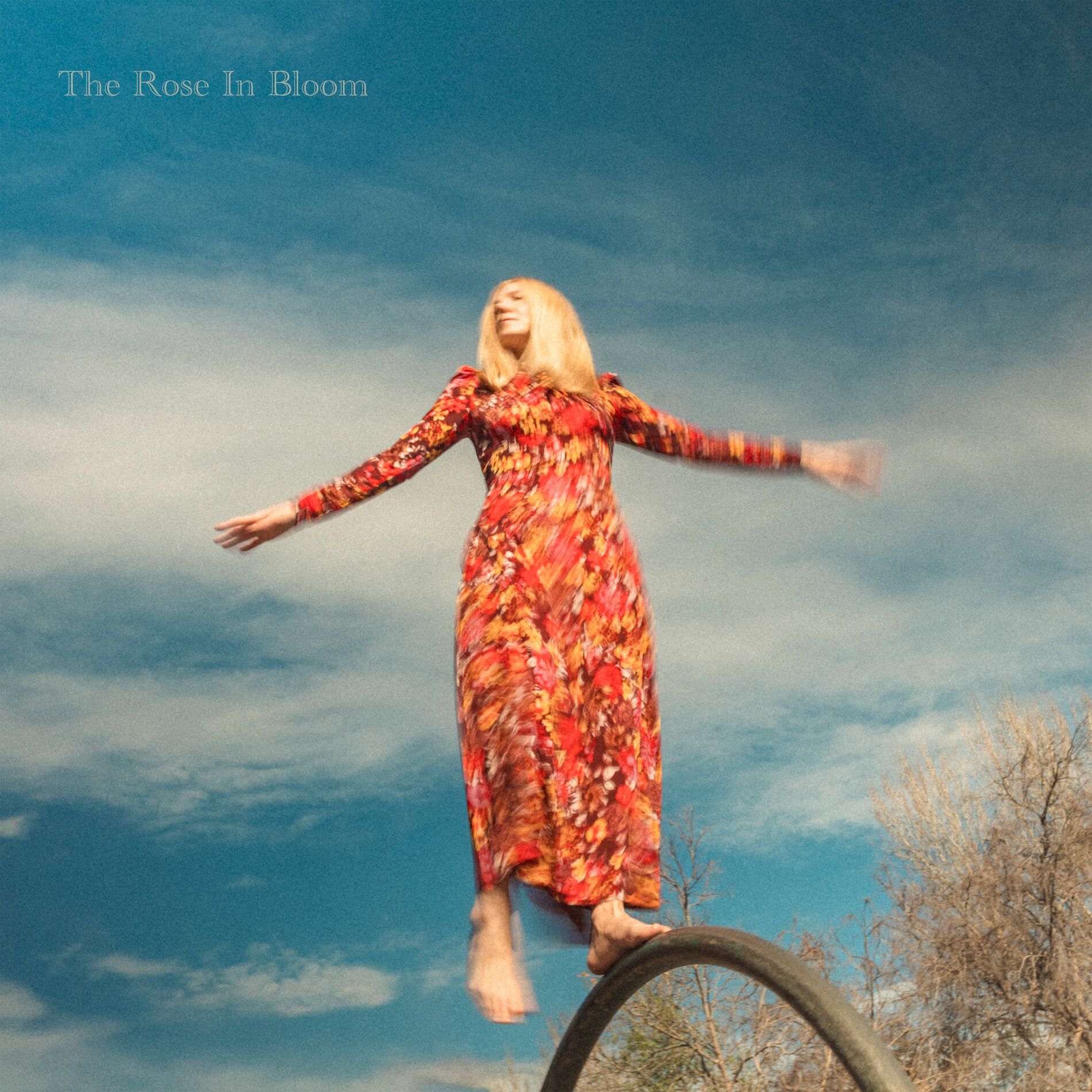 Album cover of The Rose In Bloom