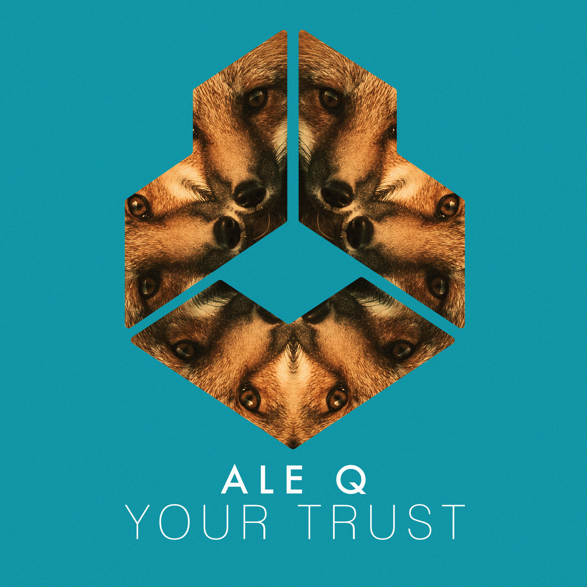 Album cover of Your Trust