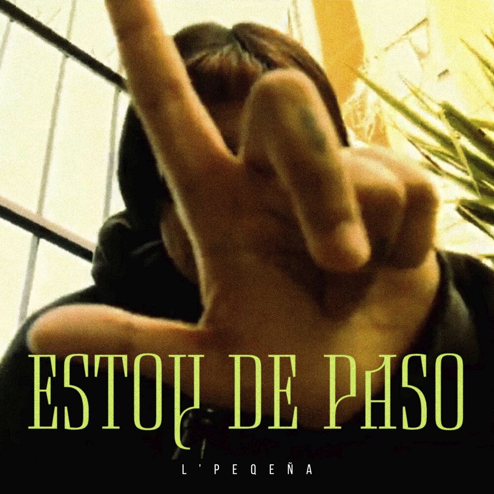 Picture of Estoy de Paso