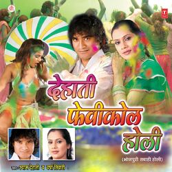 Cover of Dehati Fevicol Holi