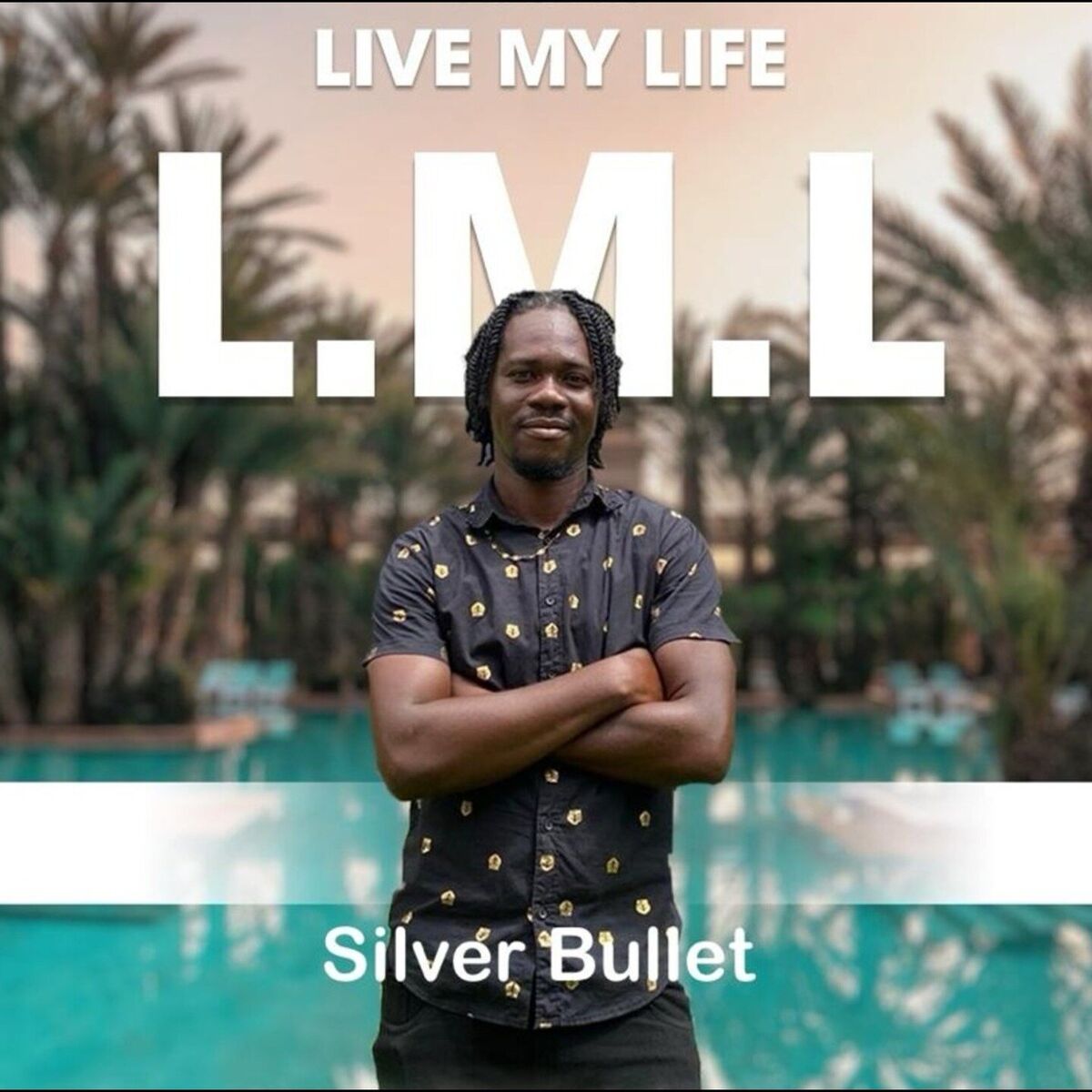 Album cover of Live My Life (L.M.L)