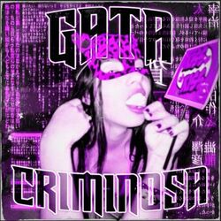Cover of GATA CRIMINOSA