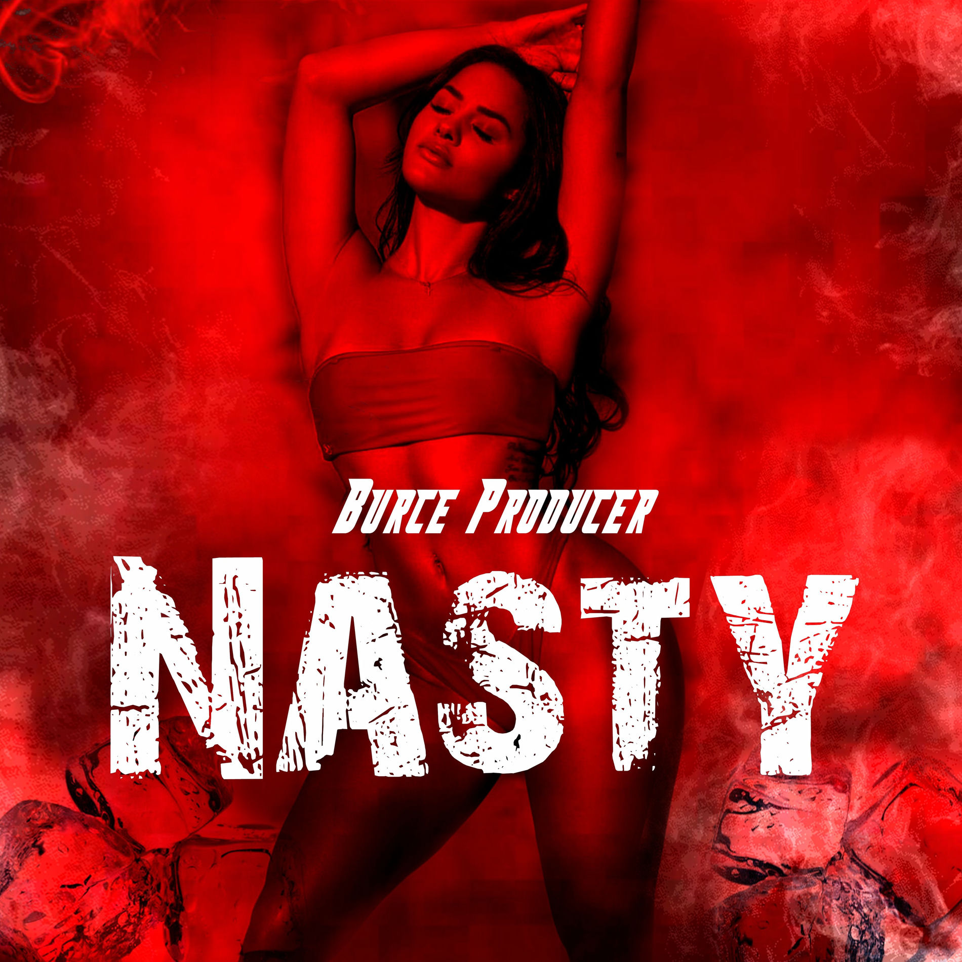 Album cover of Nasty
