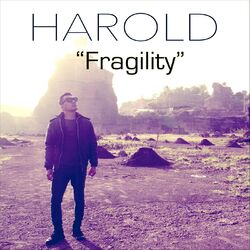 Cover of Fragility