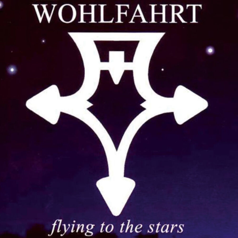 Picture of Flying to the Stars