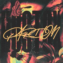 Cover of Pardon