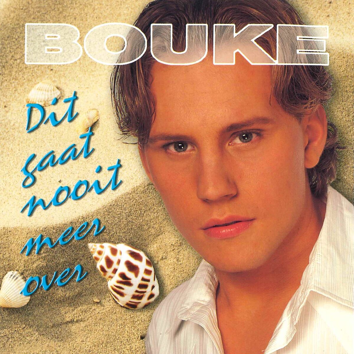 Album cover of Dit Gaat Nooit Meer Over