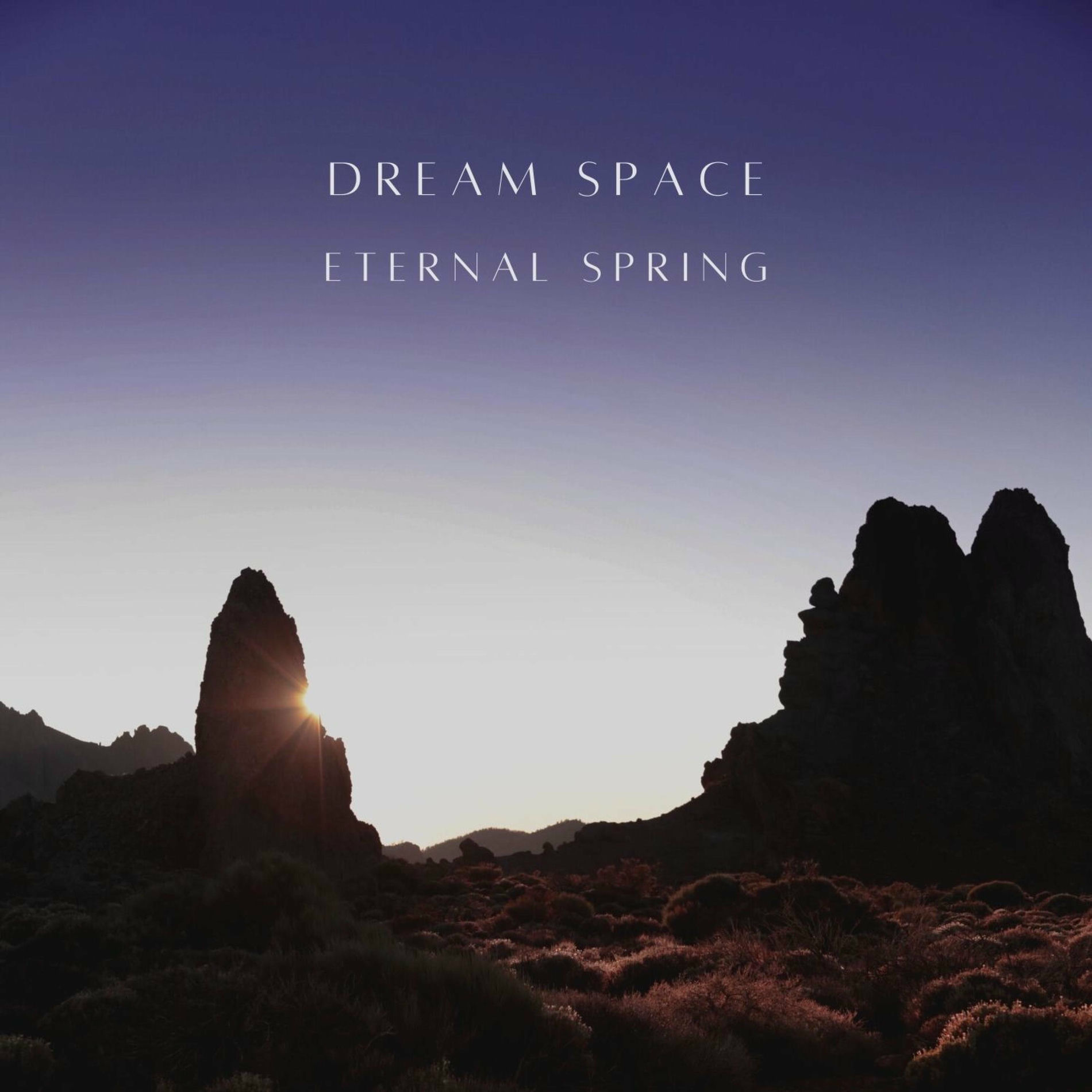 Album cover of Dream Space
