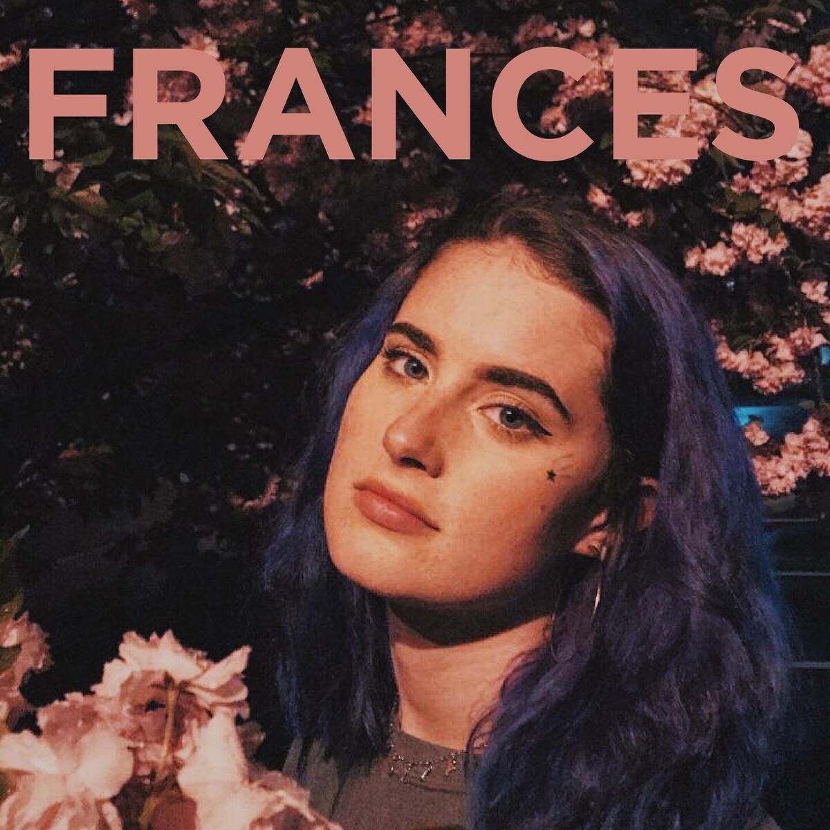 Album cover of Frances