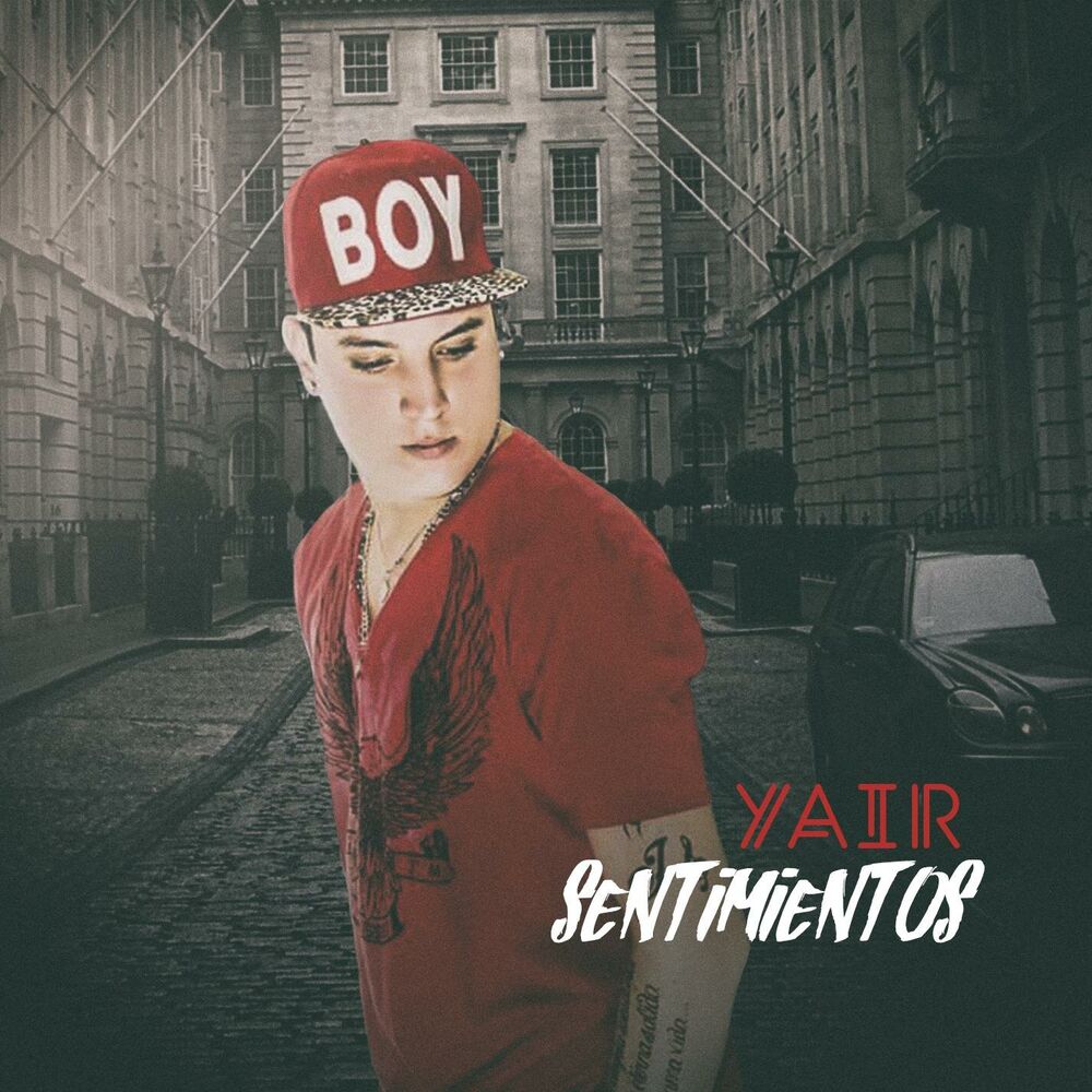Picture of Sentimientos