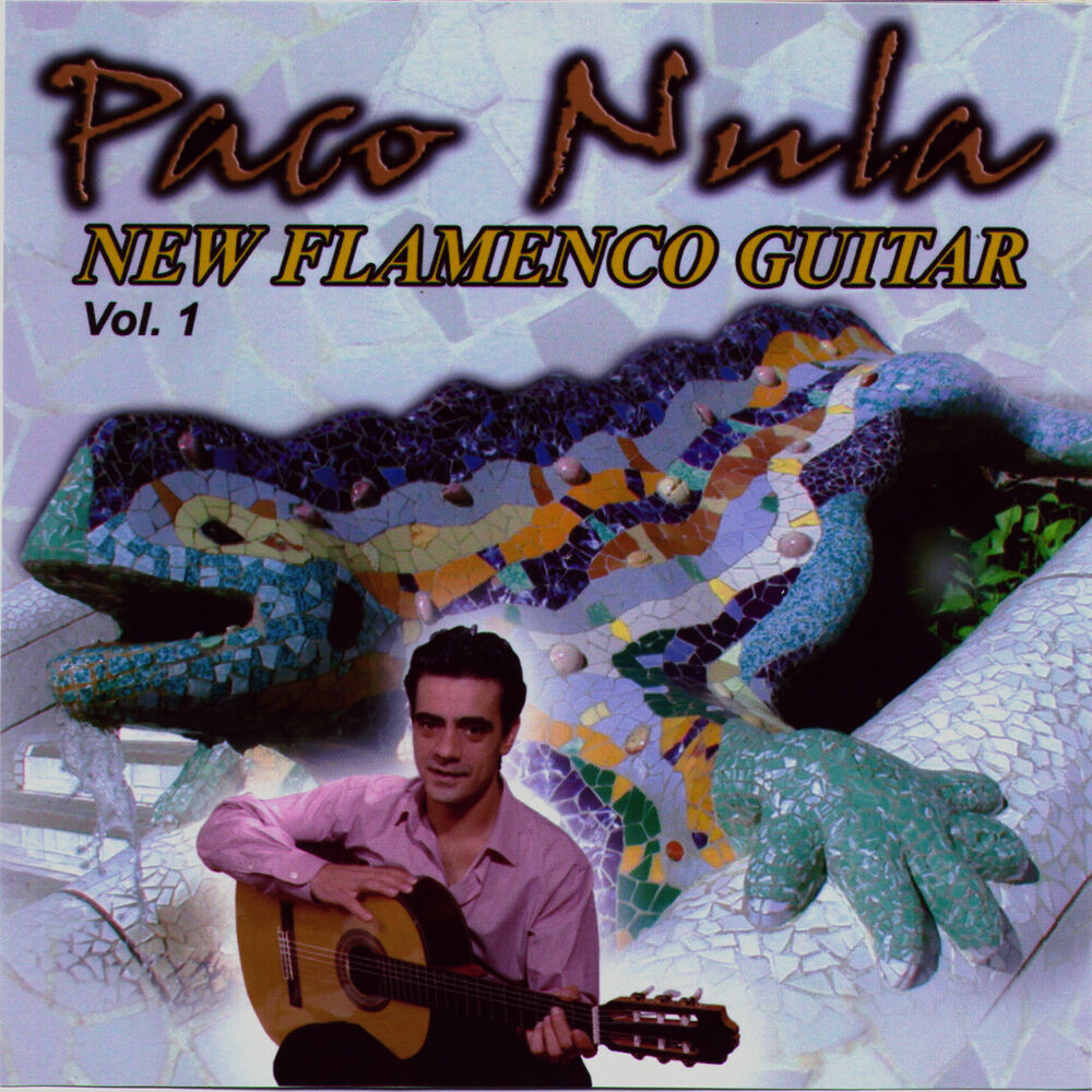 Picture of New Flamenco Guitar 1