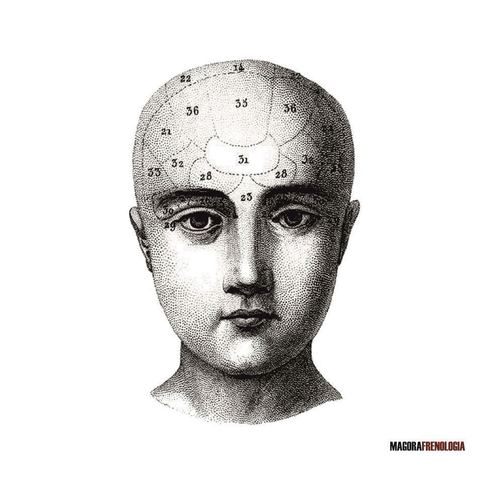 Picture of Frenologia