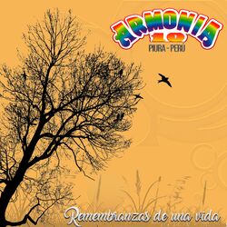 Cover of Remembranzas de una Vida