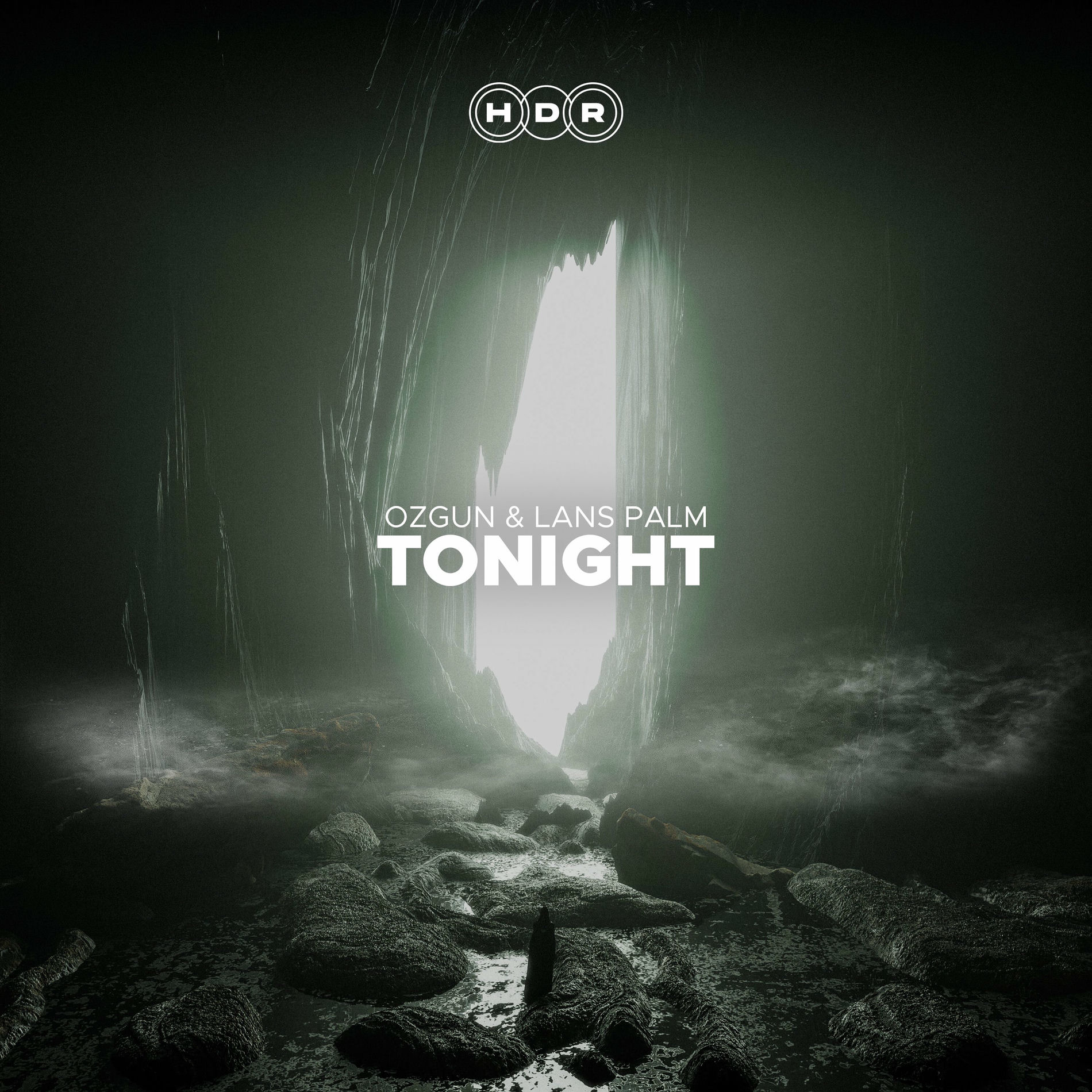 Album cover of Tonight