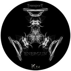 Cover of Transport
