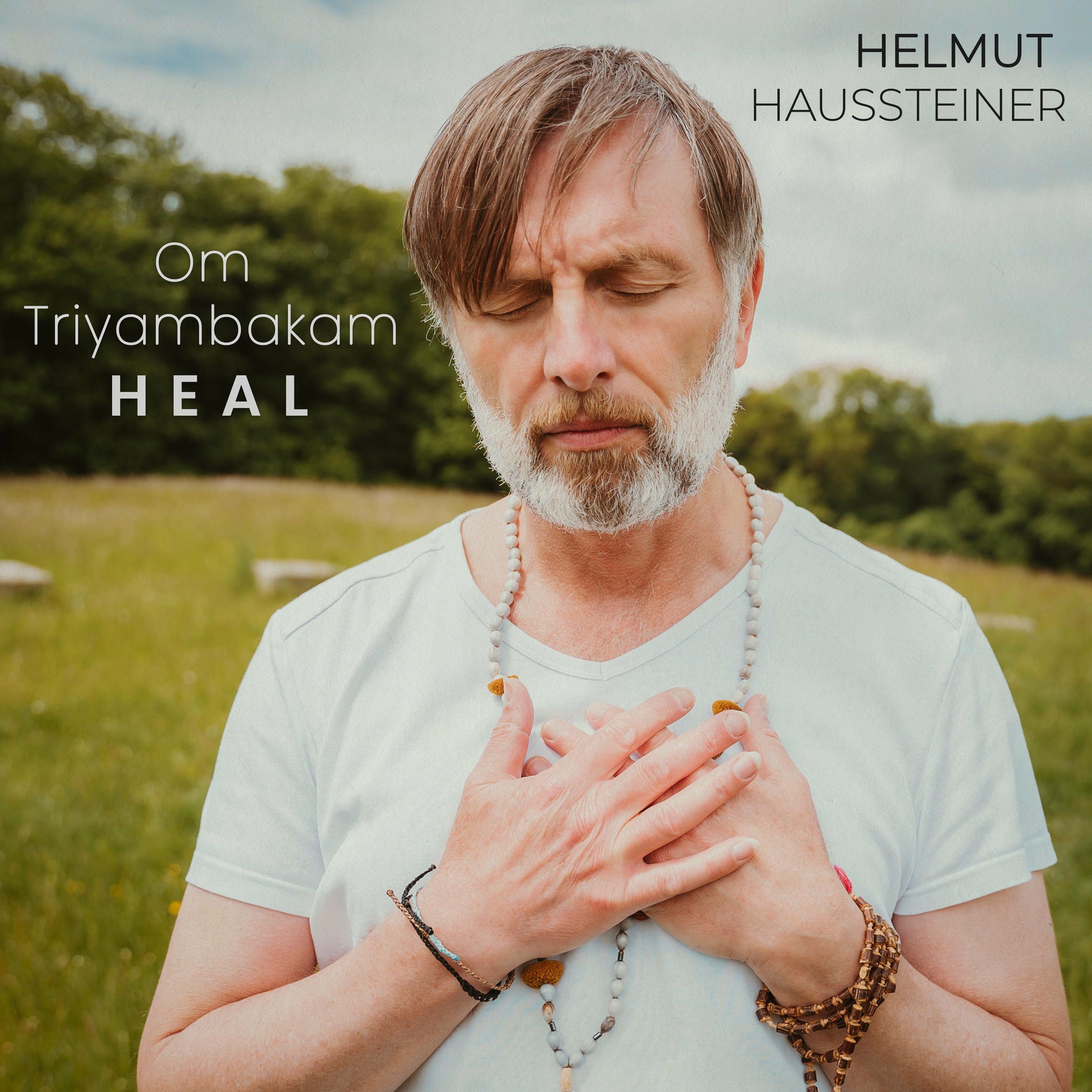 Album cover of Heal (Om Triyambakam)