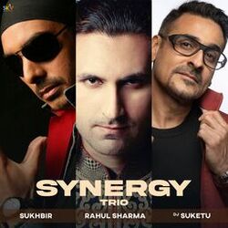 Cover of Synergy Trio