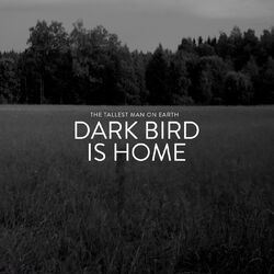 Cover of Dark Bird Is Home