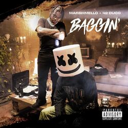 Cover of Baggin'