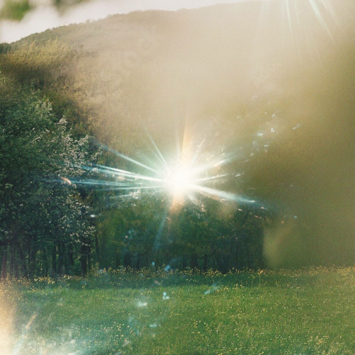 Album cover of How He Reveals
