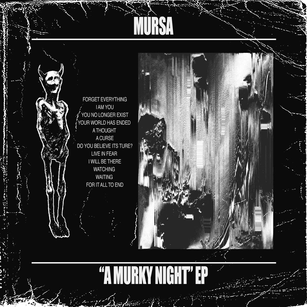 Picture of A Murky Night